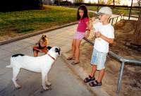 ���, ����� ���������� ������