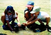 ���, ����� ���������� ������