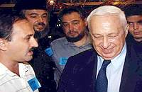 ���,����� ���������� ������